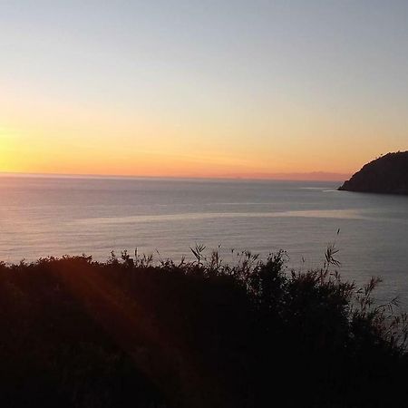 Un Gioiello Con Vista Mare Villa Moneglia Eksteriør billede