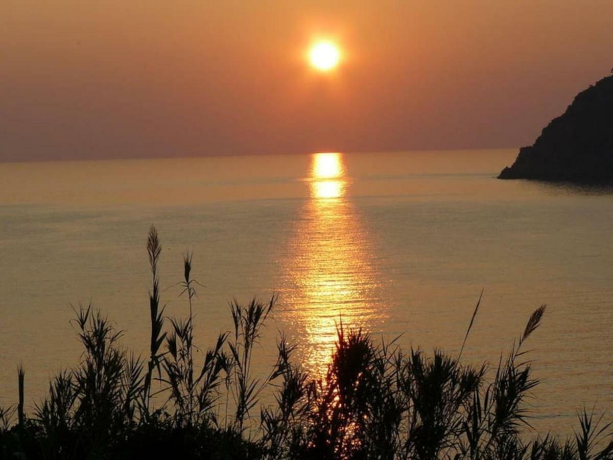 Un Gioiello Con Vista Mare Villa Moneglia Eksteriør billede