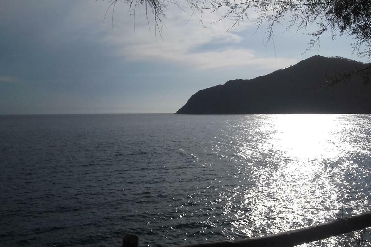 Un Gioiello Con Vista Mare Villa Moneglia Eksteriør billede