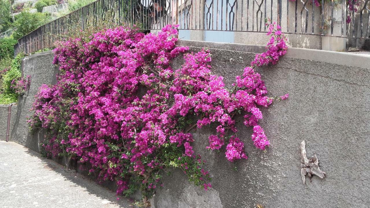 Un Gioiello Con Vista Mare Villa Moneglia Eksteriør billede